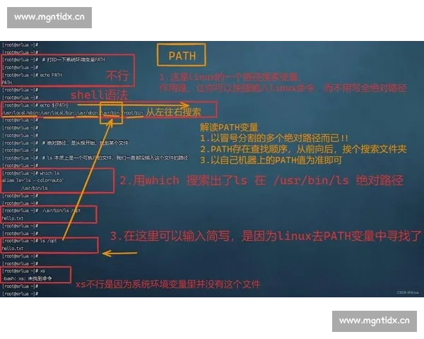 从剪辑入门到彻底放弃的全流程避坑成长指南与心路历程解析全景版